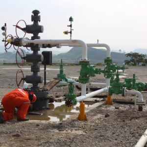 Servicio de telemetría (transmisión de datos y variables operativas) y servicio sistema de detección de gas y fuego del Proyecto MG (Manejo de Gas) en Región Norte (Poza Rica, Veracruz).